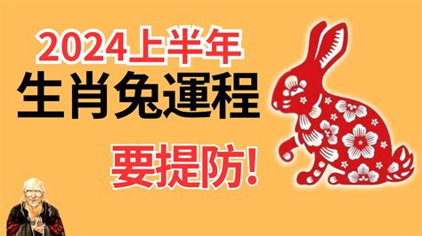 2024運程兔|2024年龍年12生肖運程分析｜事業、感情、財運、健 